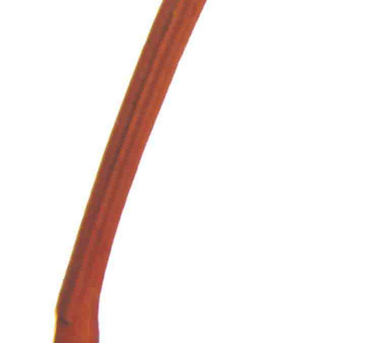 EC-10 Glass Piller